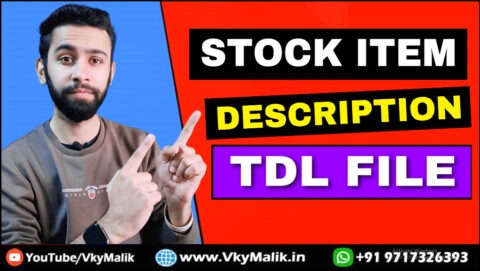 TDL File for Tally Prime | Vky Malik